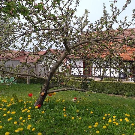 Pension Toepferhof บาด แบร์คา ภายนอก รูปภาพ