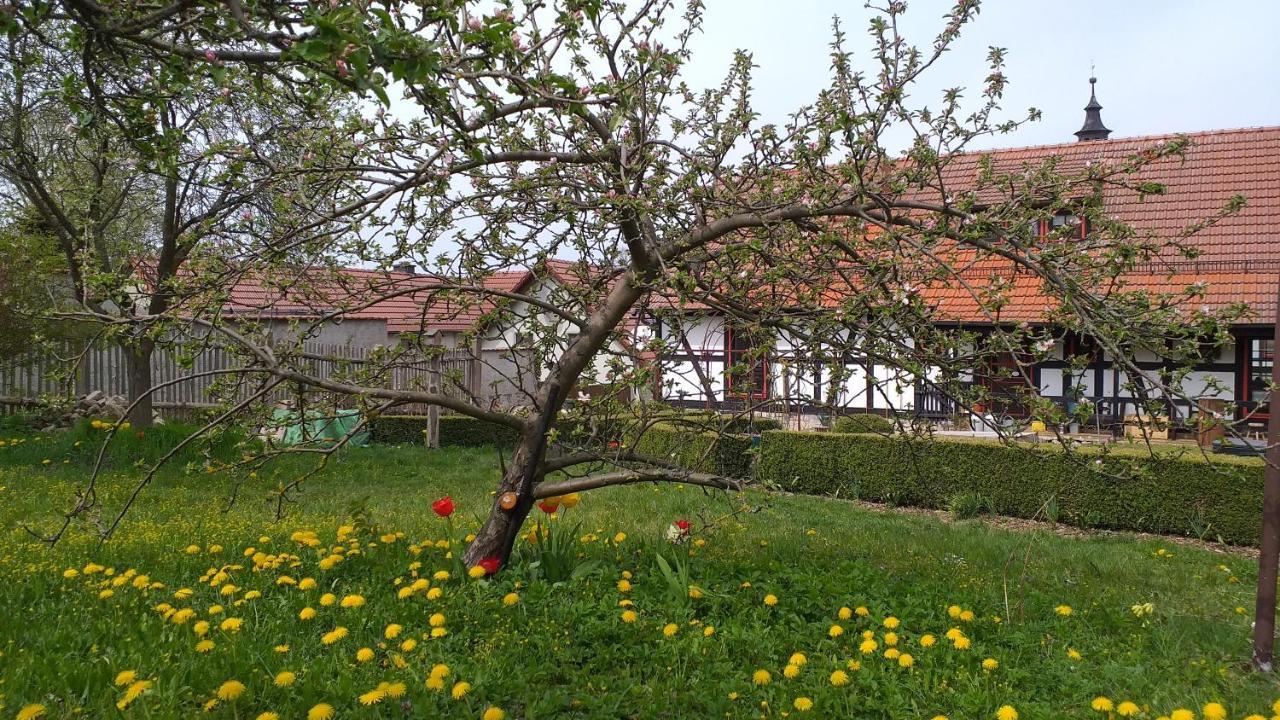 Pension Toepferhof บาด แบร์คา ภายนอก รูปภาพ